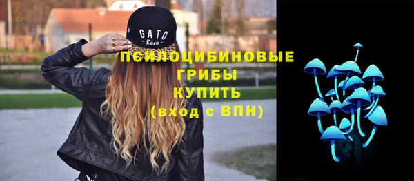 индика Белоозёрский