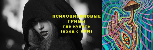 бошки Богданович