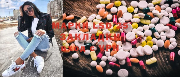 индика Белоозёрский