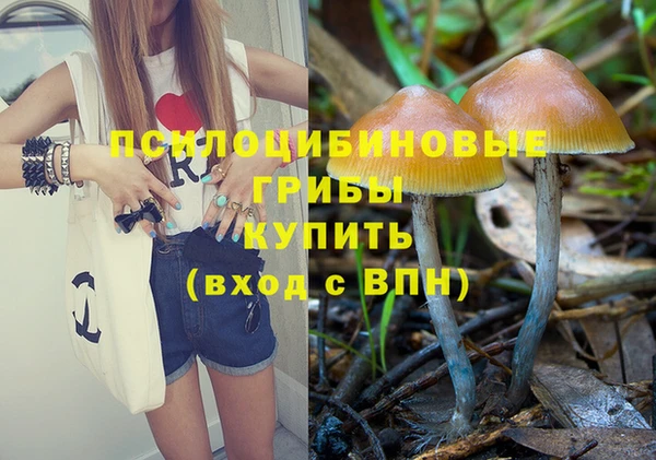 индика Белоозёрский