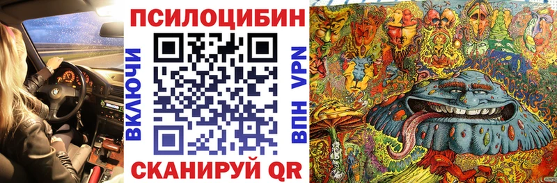 Галлюциногенные грибы Magic Shrooms  цены наркотик  Кола 